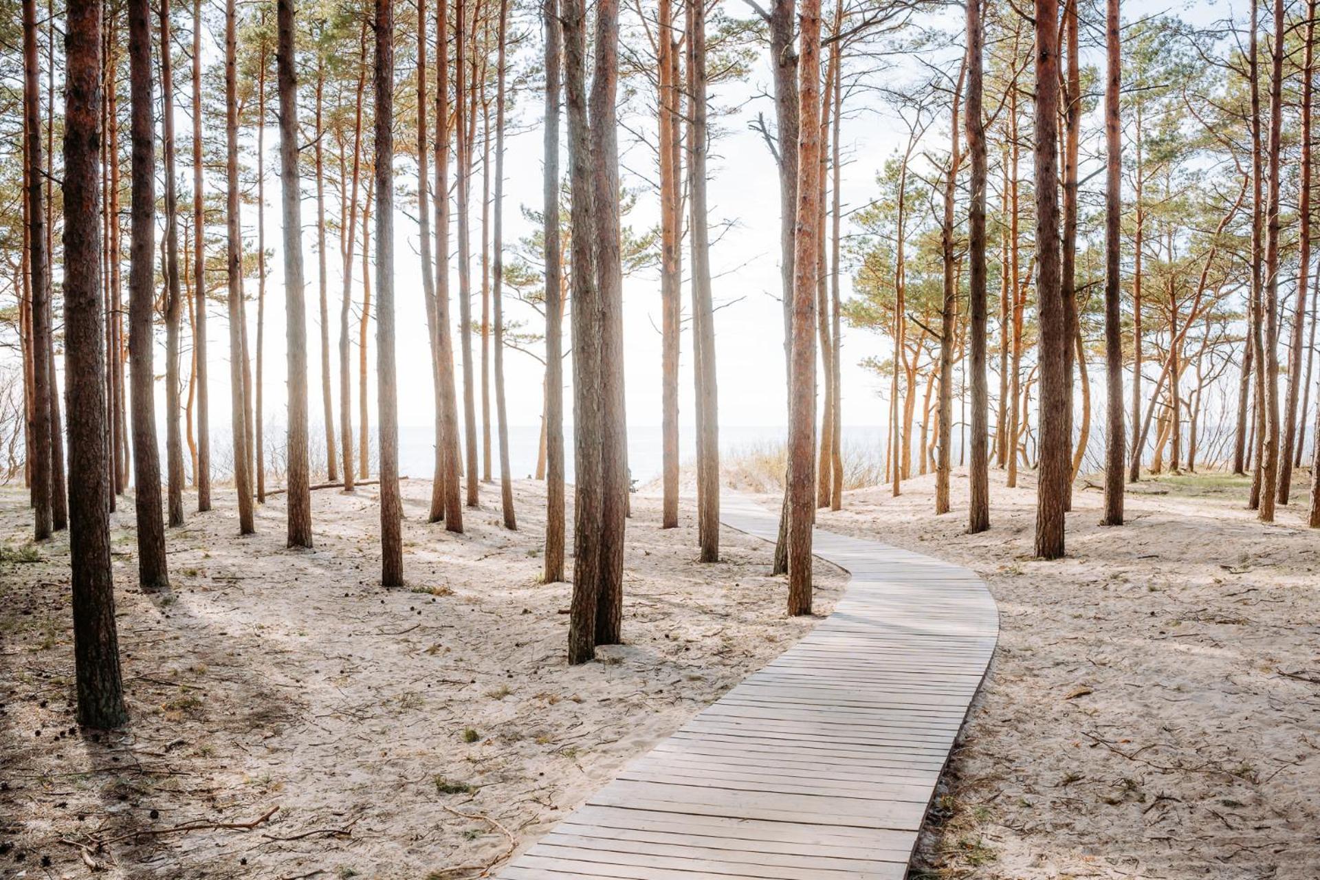 Hill Palanga & Spa Экстерьер фото